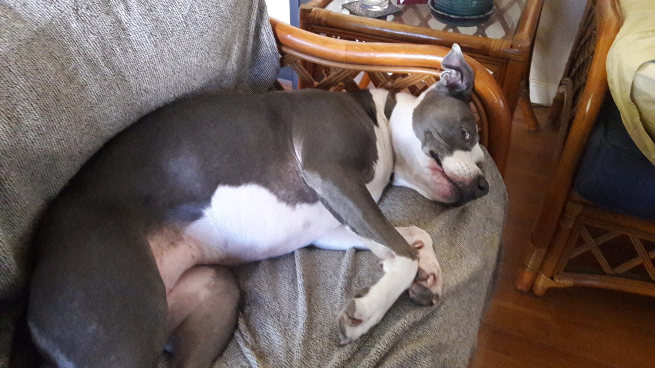 20190210_102106.jpg