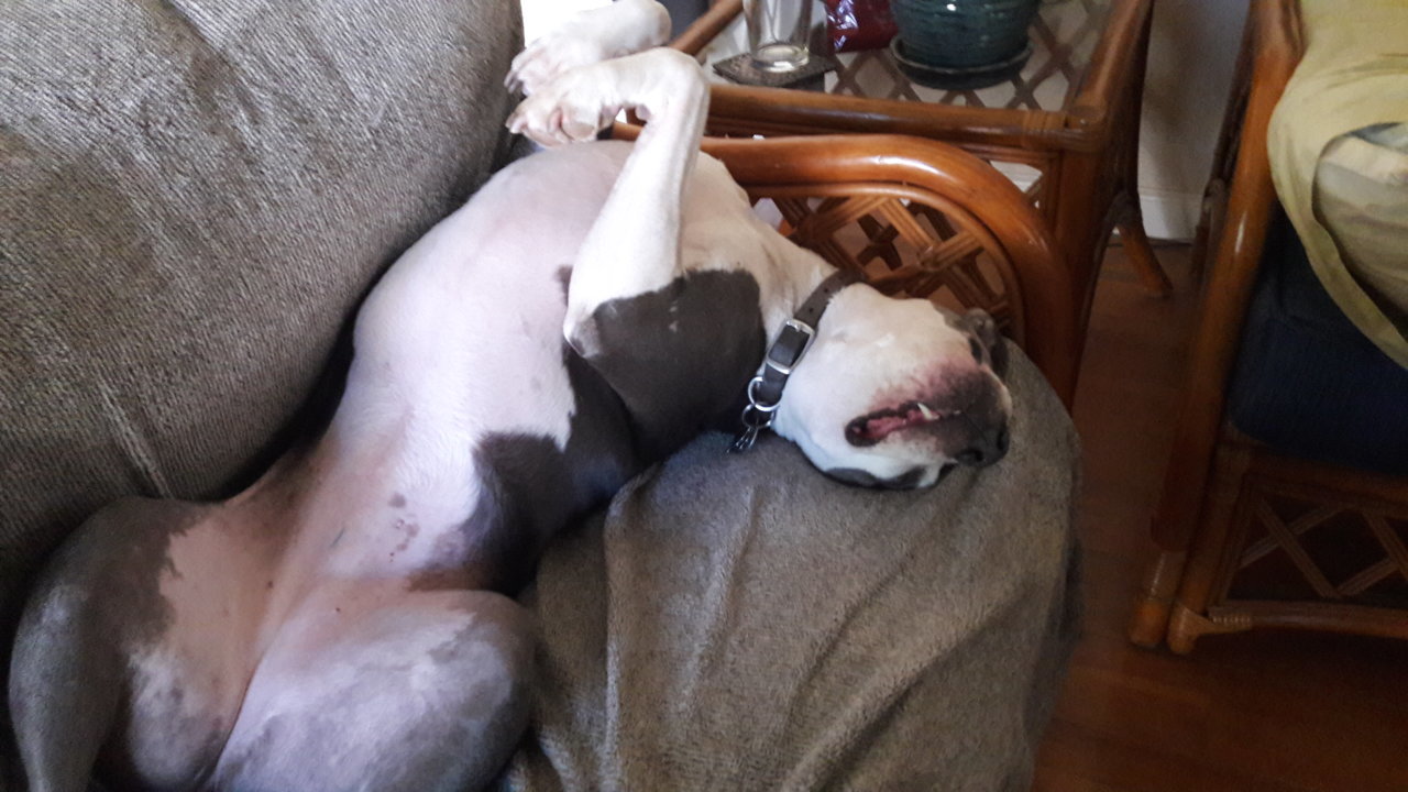 20190210_102122.jpg