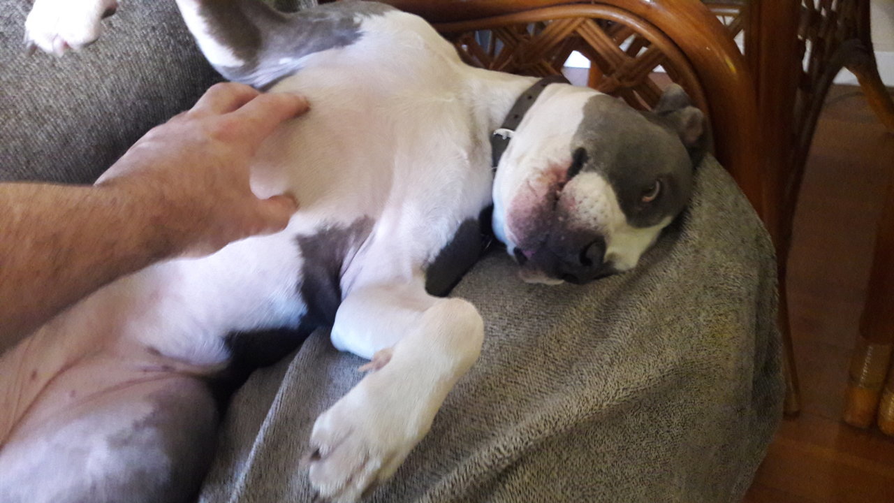 20190210_102159.jpg