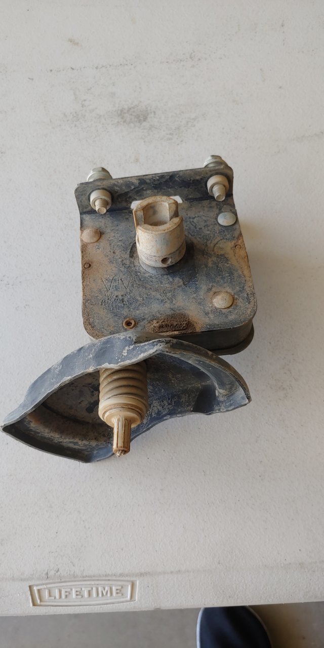 20190210_110045.jpg