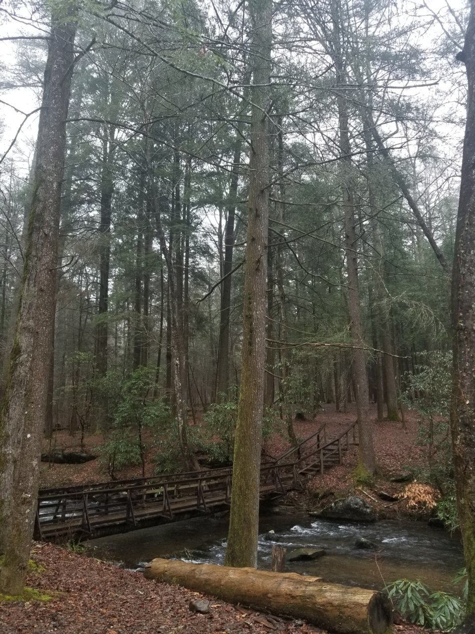 20190210_122847.jpg