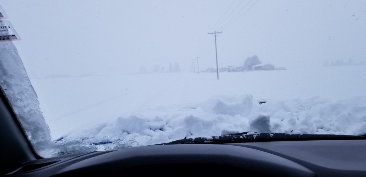 20190210_124300.jpg