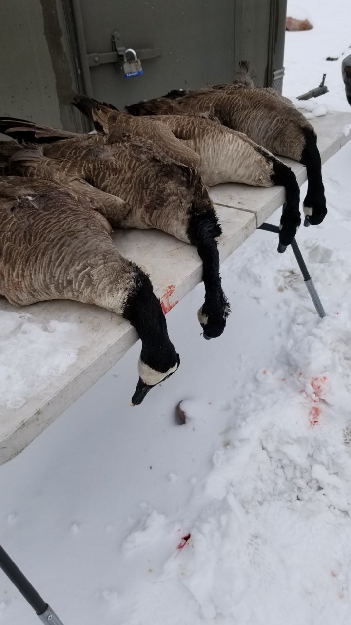 20190210_145842.jpg