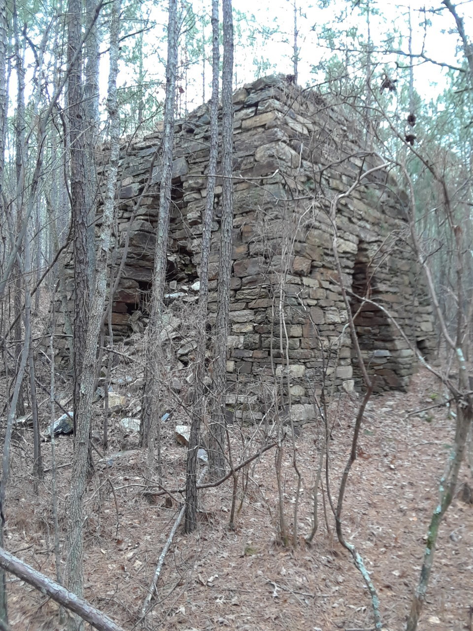 20190210_152506.jpg