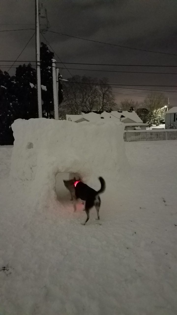 20190211_061351.jpg