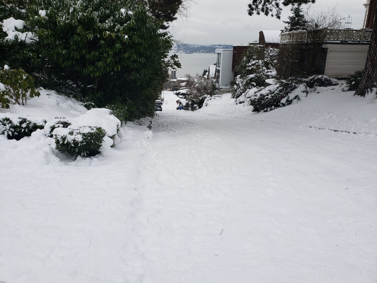 20190211_085645.jpg