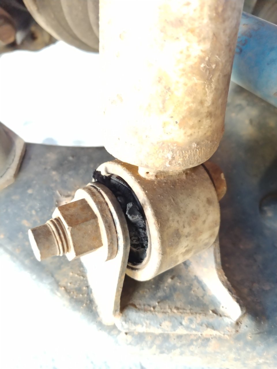 20190211_090952_HDR.jpg