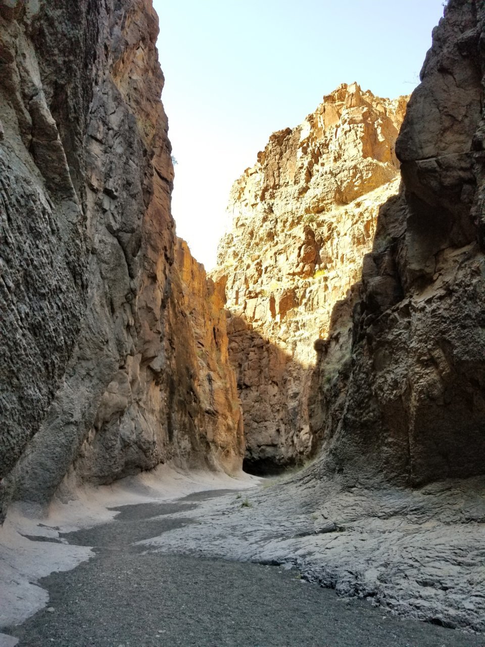 20190212_124257.jpg