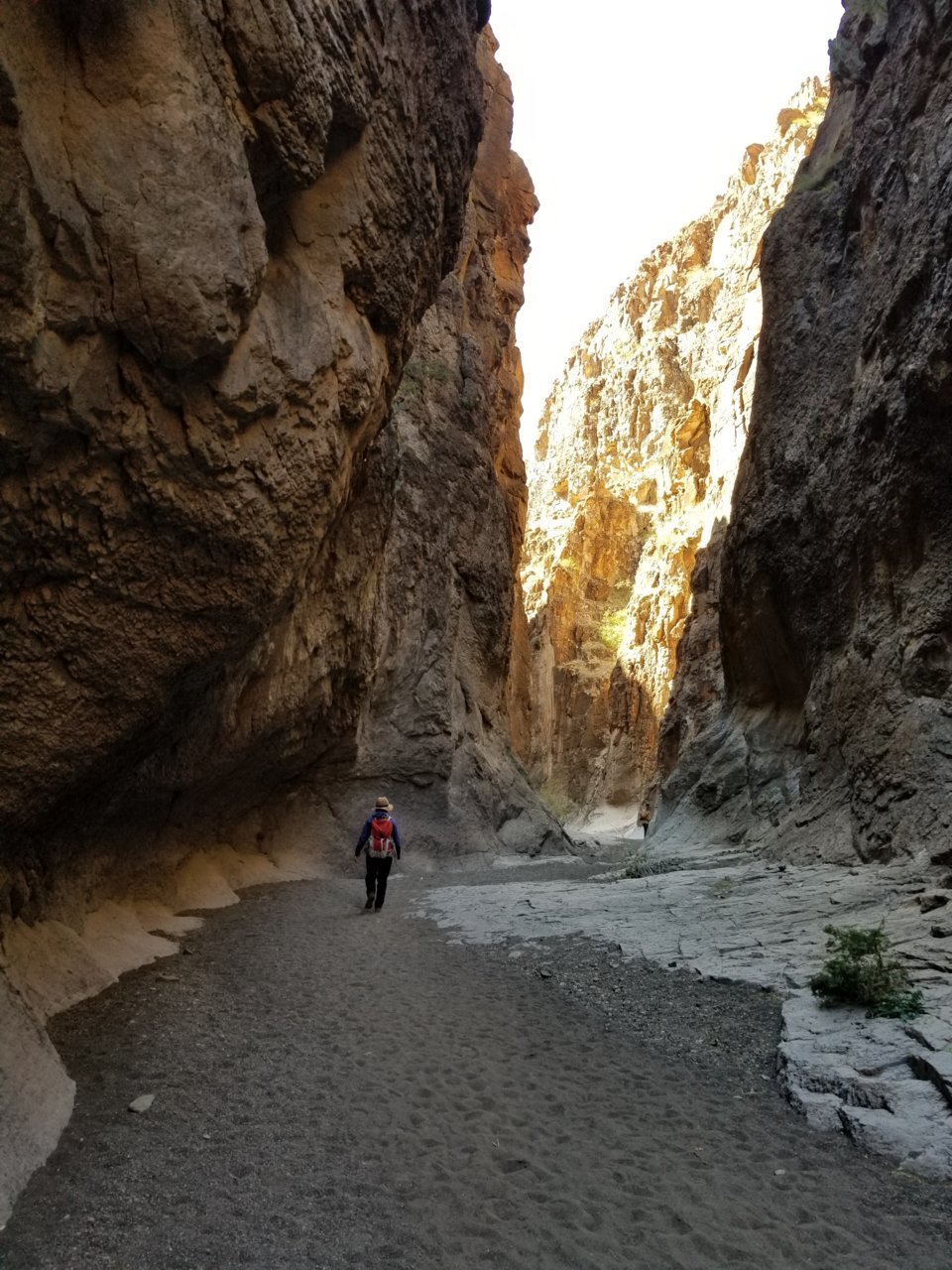 20190212_124648.jpg