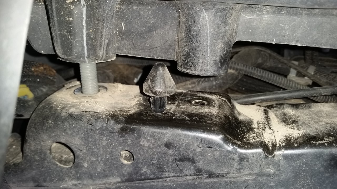 20190212_143305.jpg