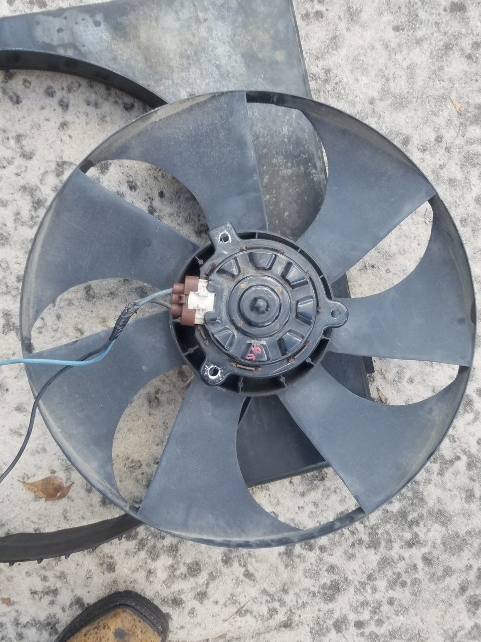 20190212_163251.jpg