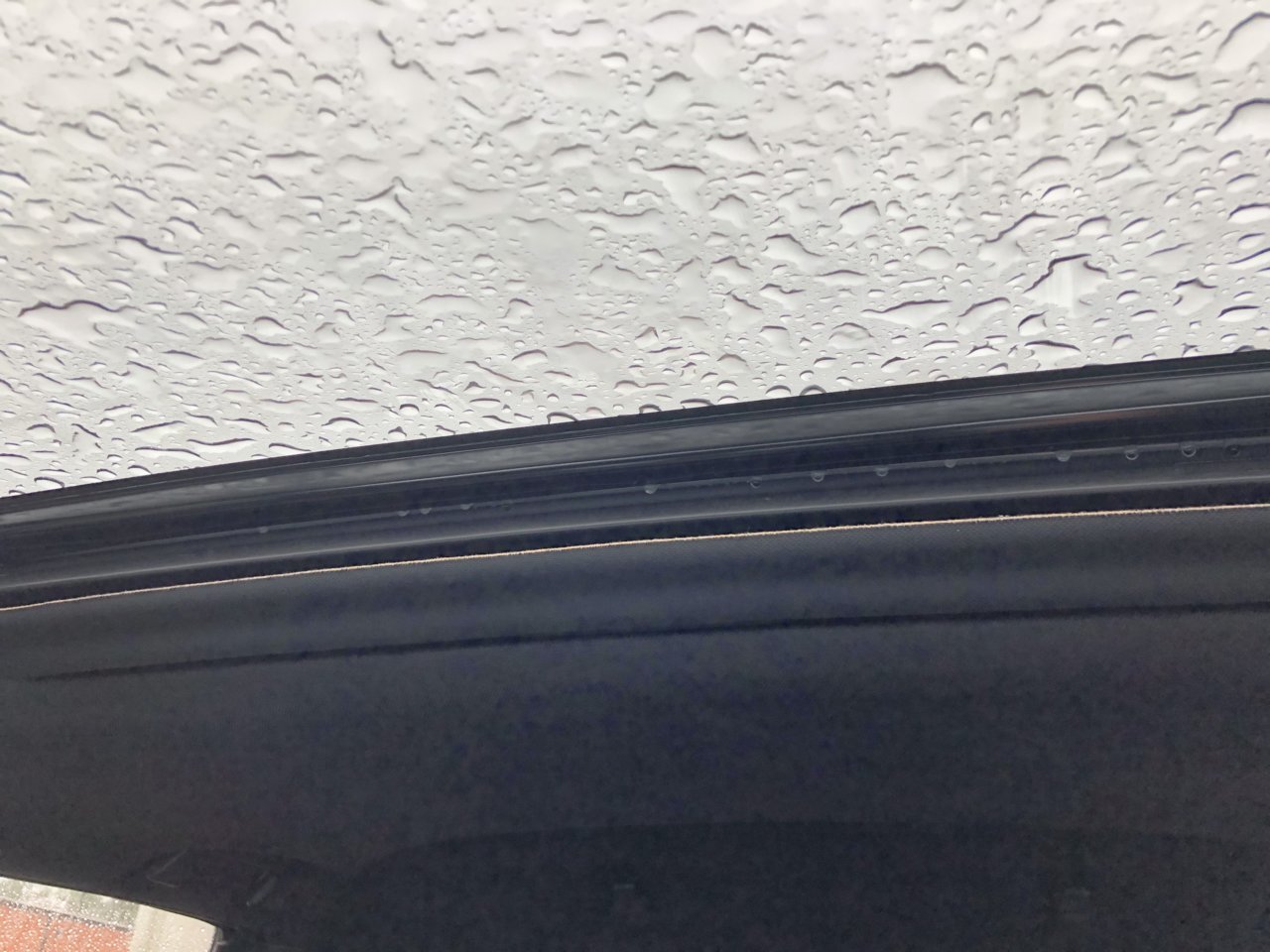 20190212_190000102_iOS.jpg