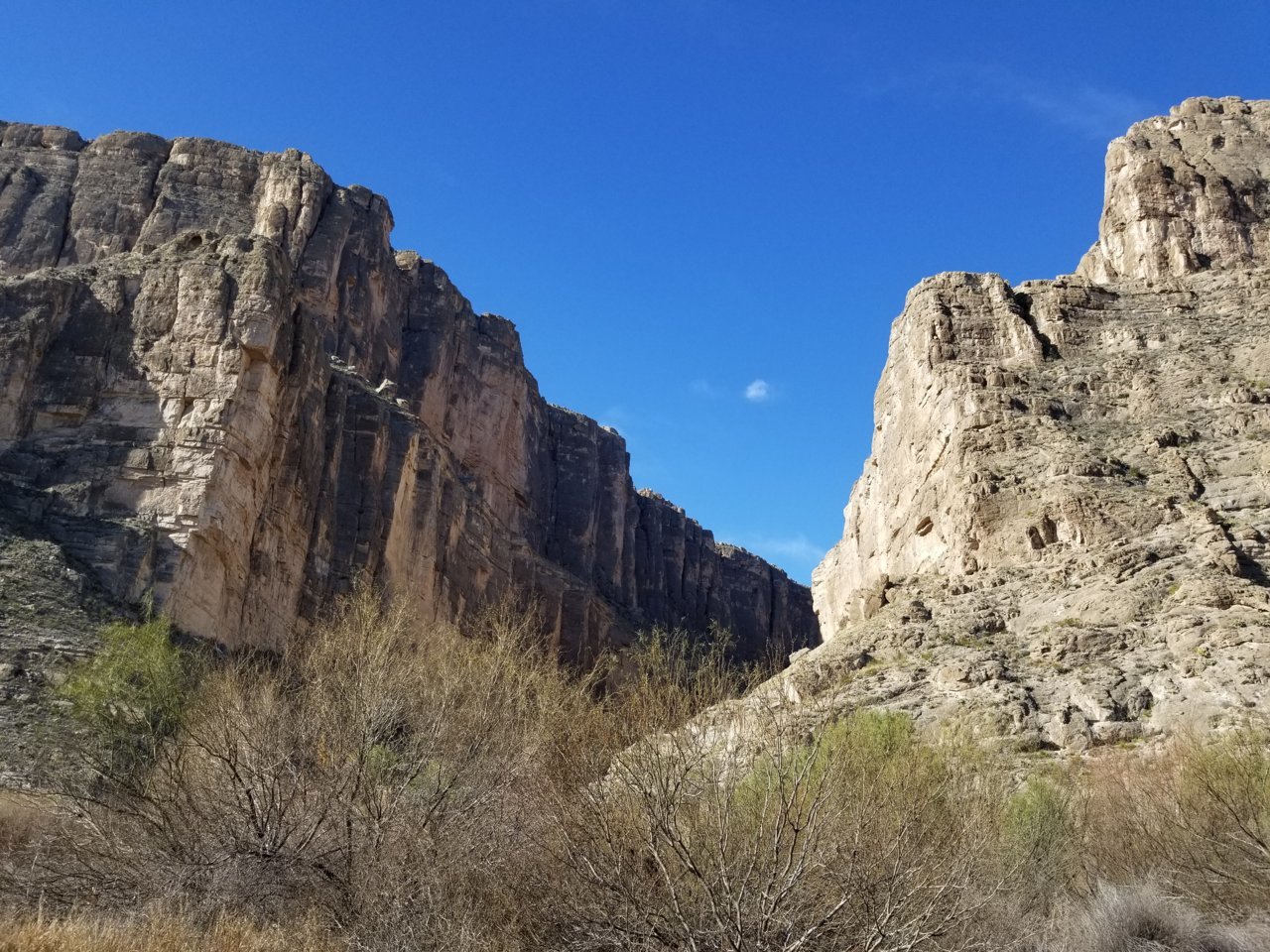 20190213_100625.jpg