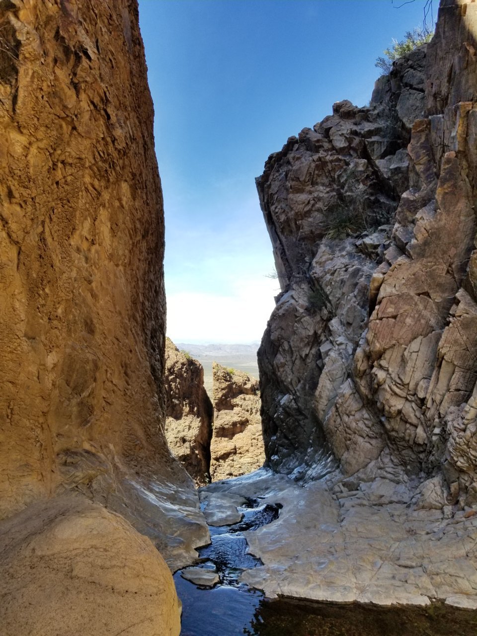 20190213_135029.jpg
