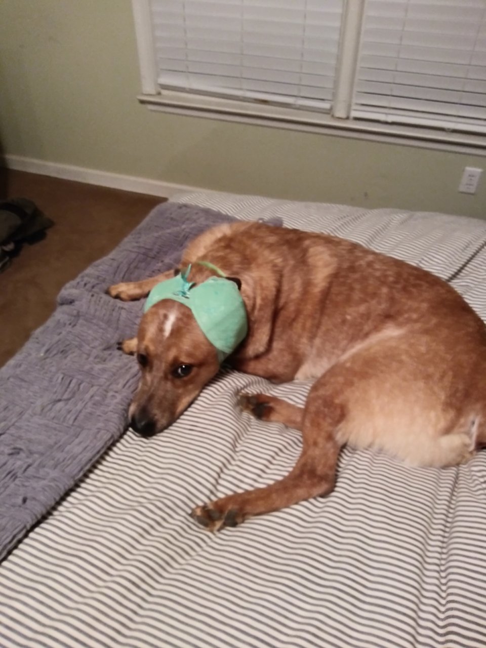 20190213_225330.jpg