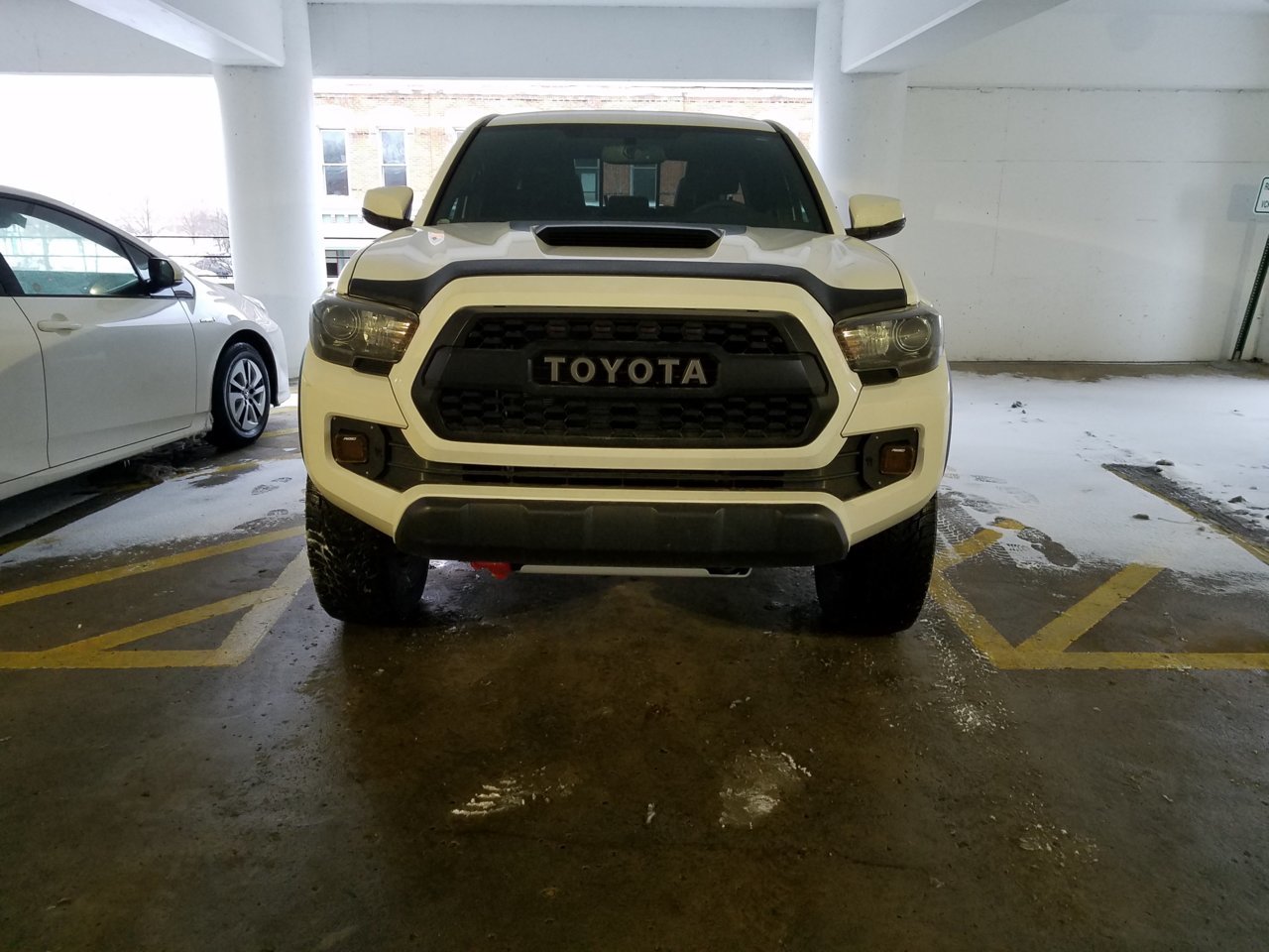 20190214_081014.jpg