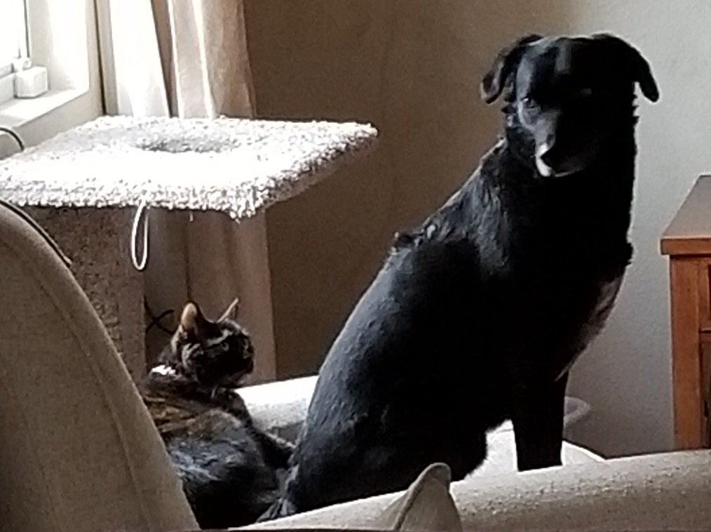 20190215_075103.jpg