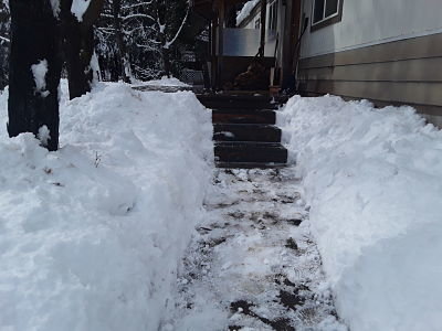 20190215_134803_opt.jpg
