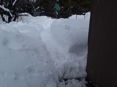 20190215_134823_opt.jpg