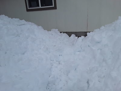20190215_134854_opt.jpg