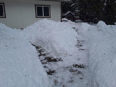 20190215_134906_opt.jpg