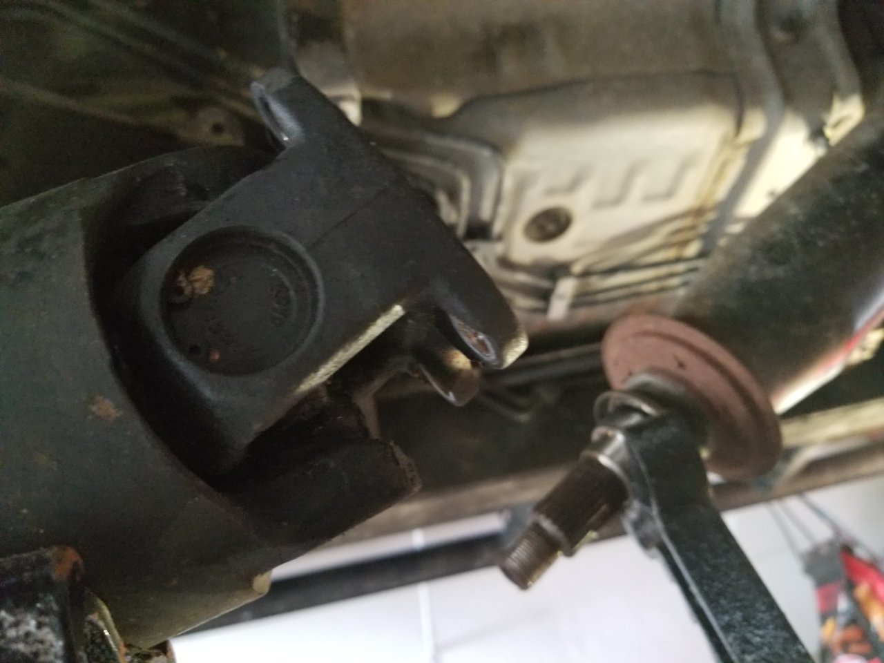 20190215_141339.jpg