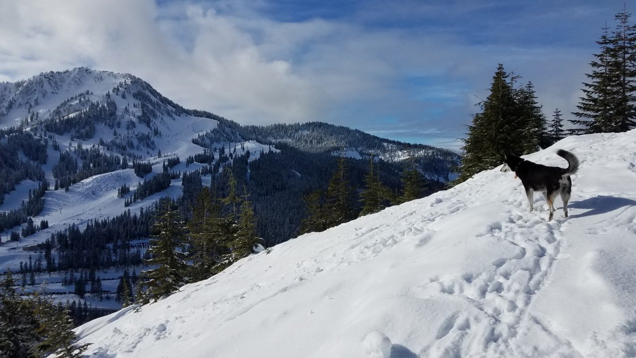 20190216_103525.jpg
