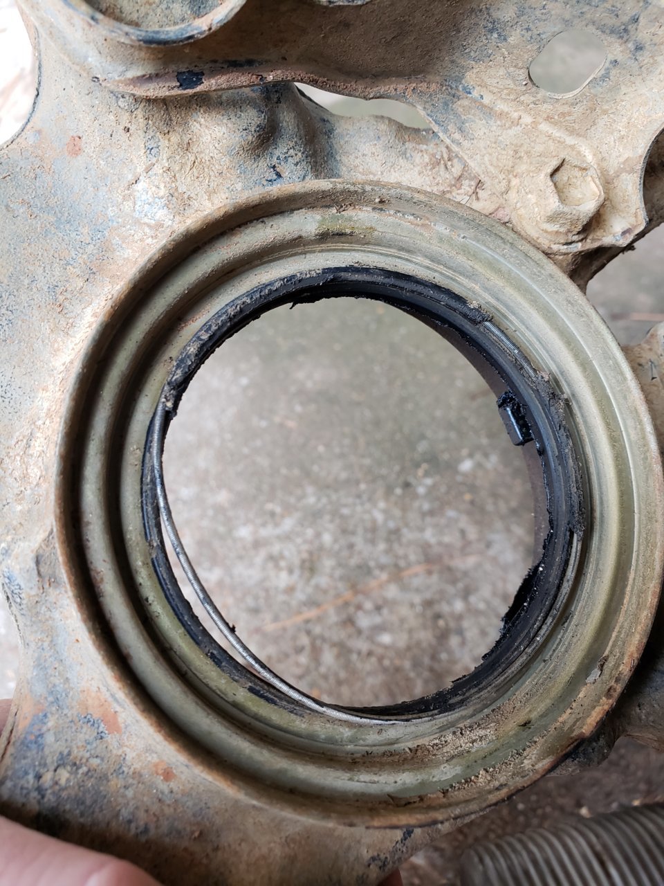 20190216_111619.jpg