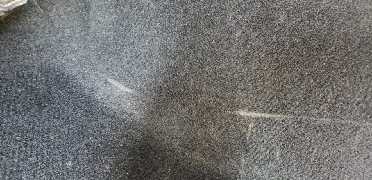 20190216_112735.jpg