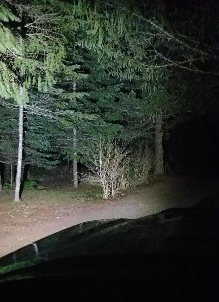 20190216_115513.jpg