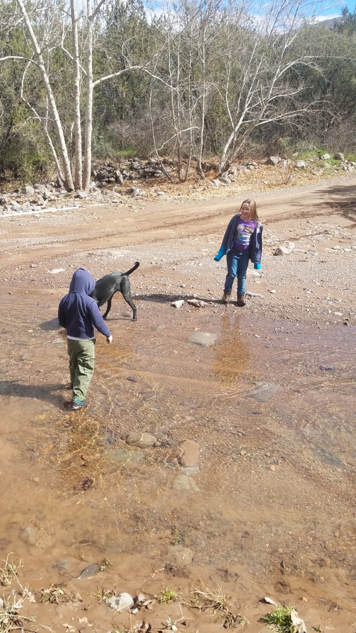 20190216_123040.jpg