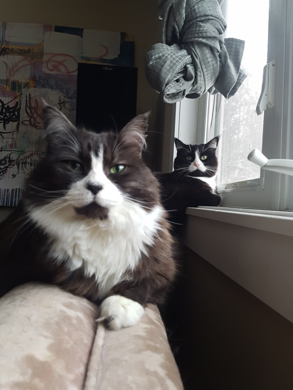 20190216_151936.jpg