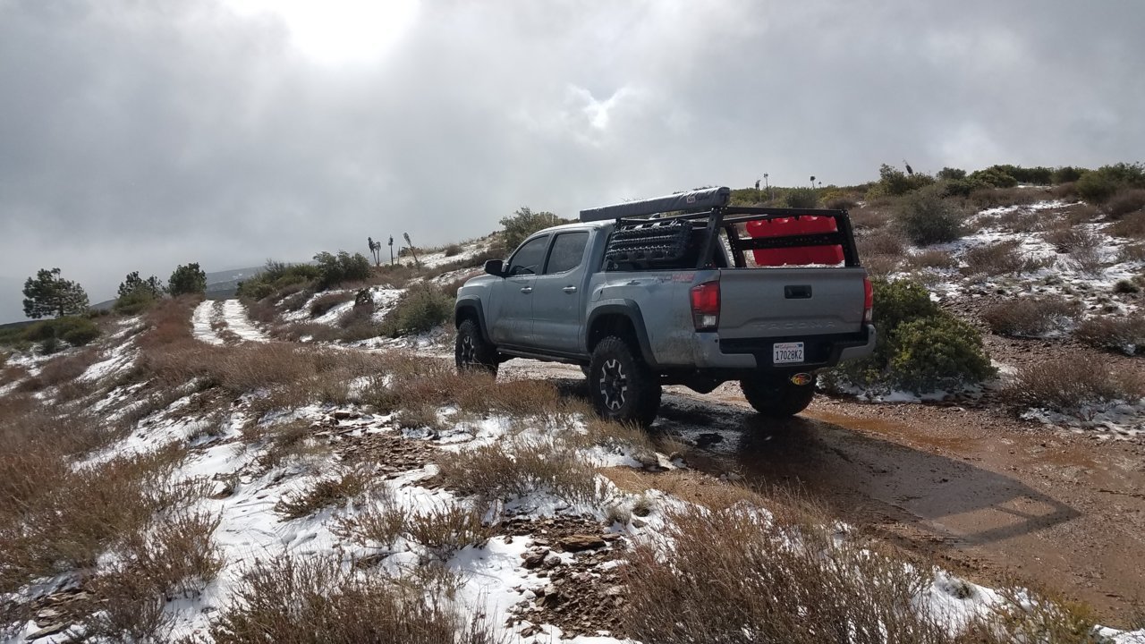 20190217_103037.jpg