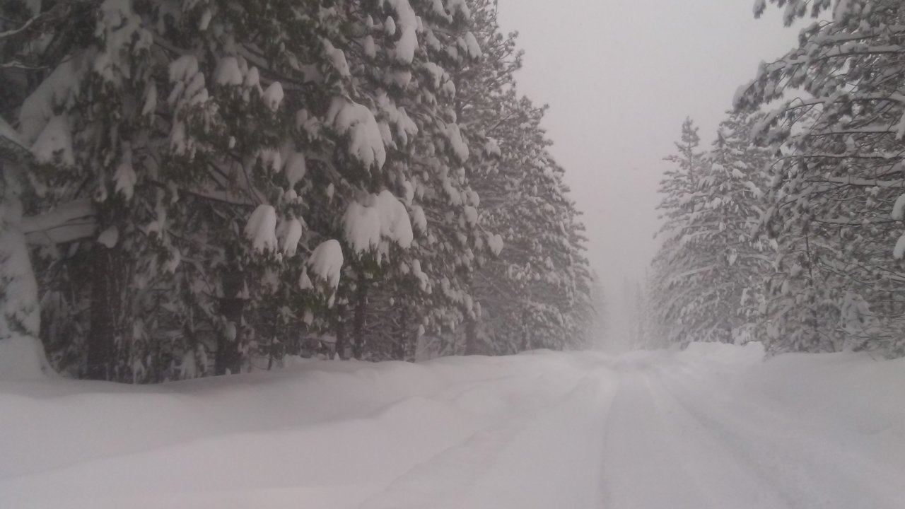 20190217_103425.jpg