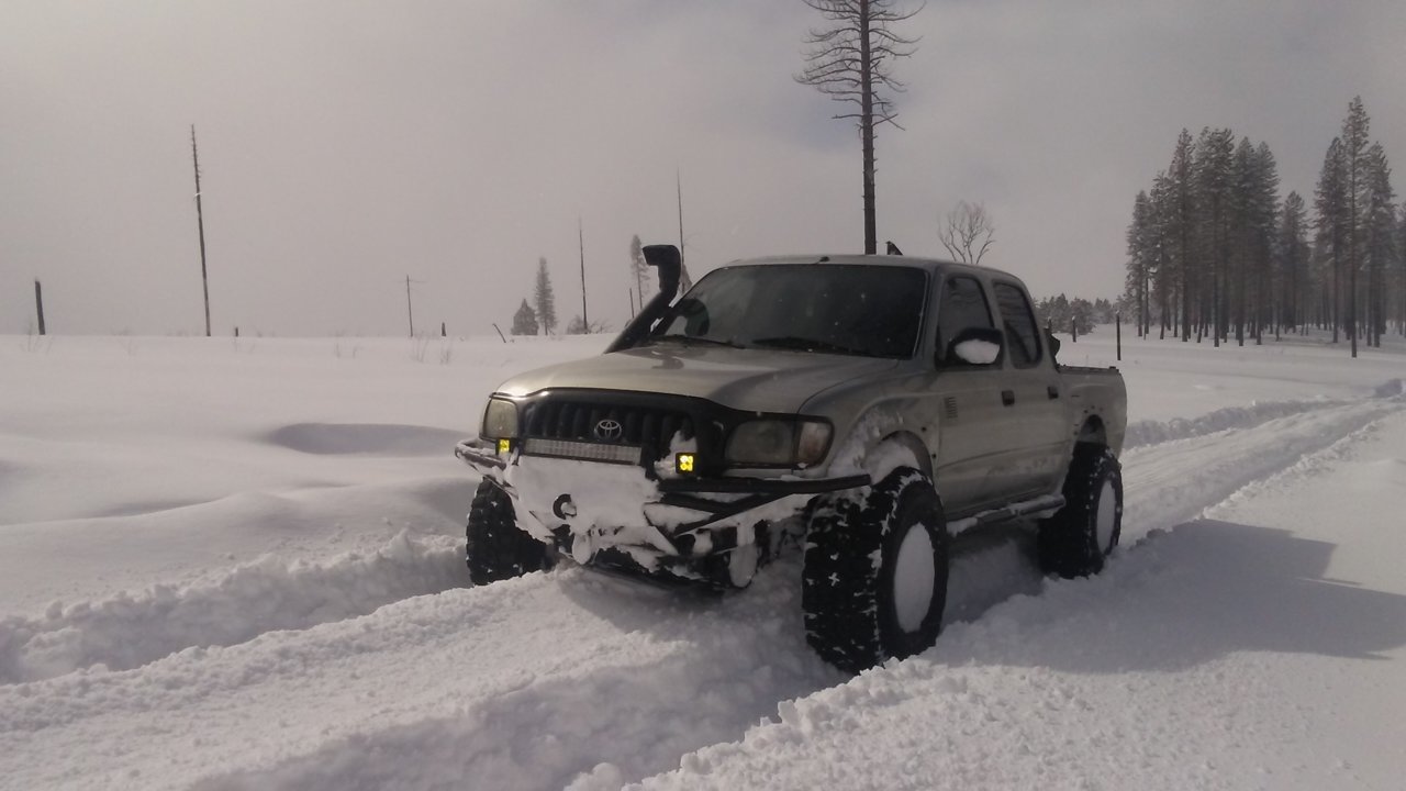 20190217_122409.jpg