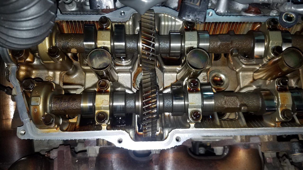 20190217_134225.jpg