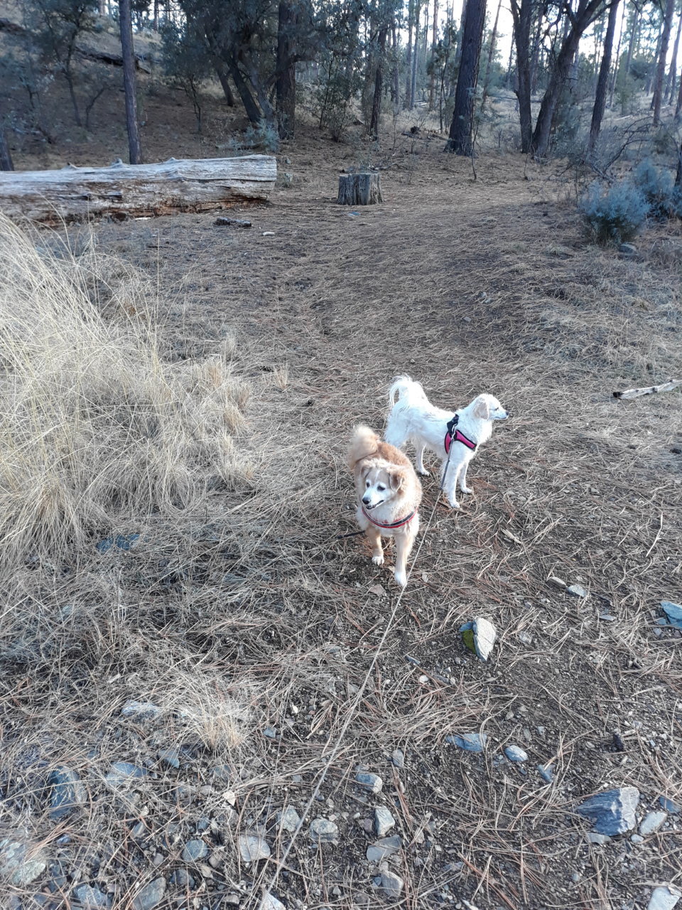 20190217_170648.jpg
