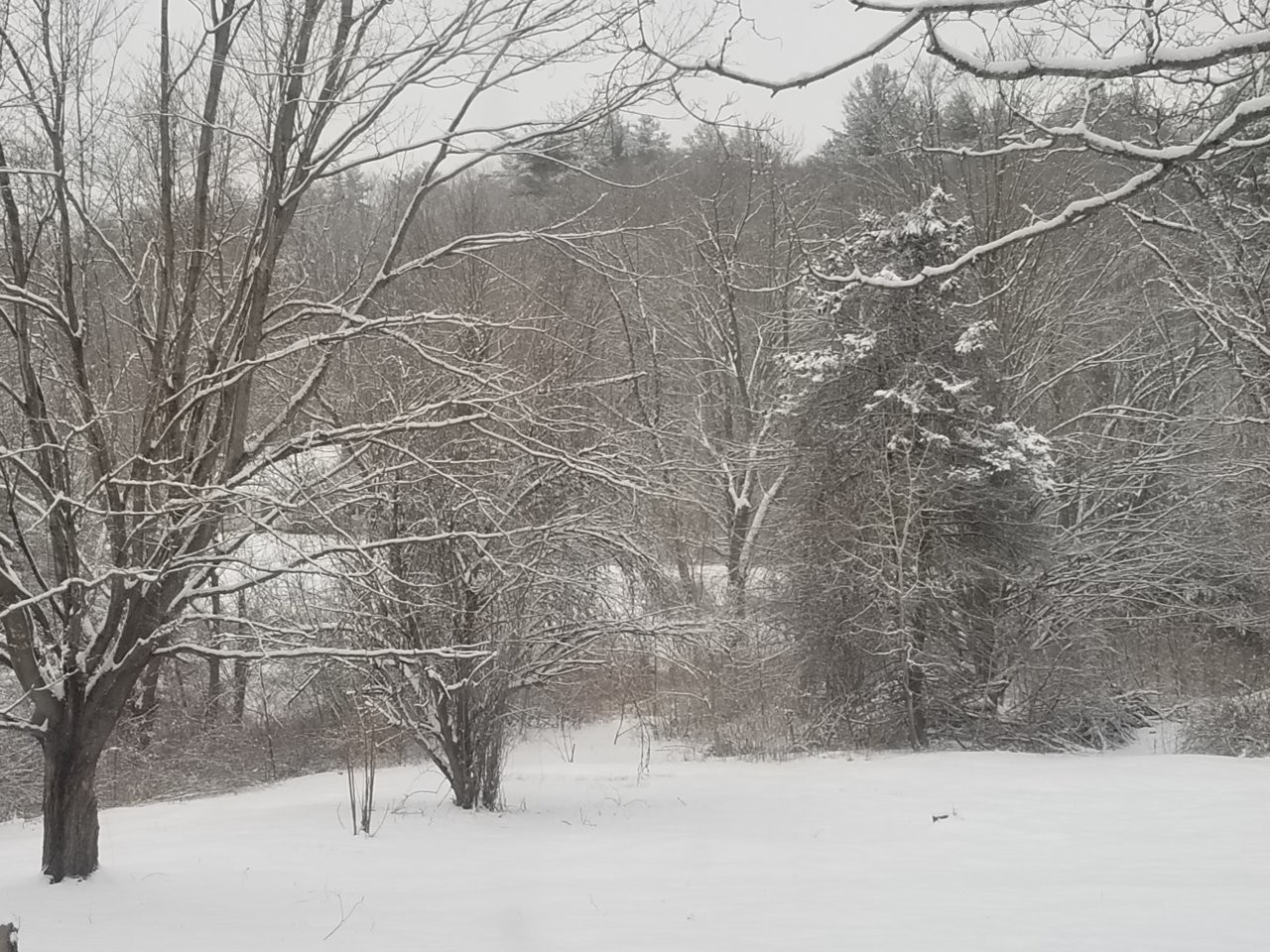 20190218_081649.jpg
