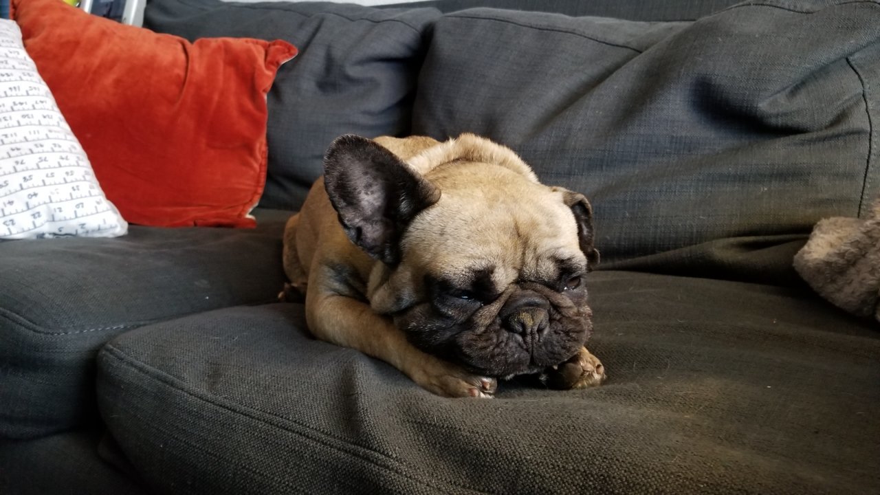 20190218_093727.jpg