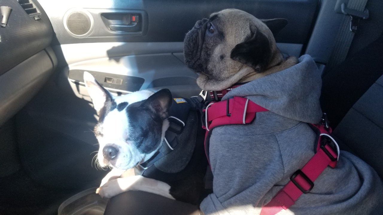 20190218_103153.jpg