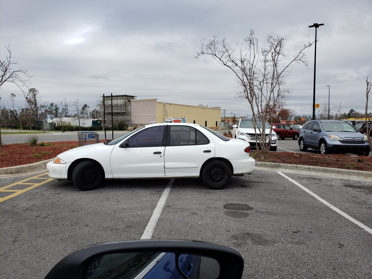 20190218_123119.jpg