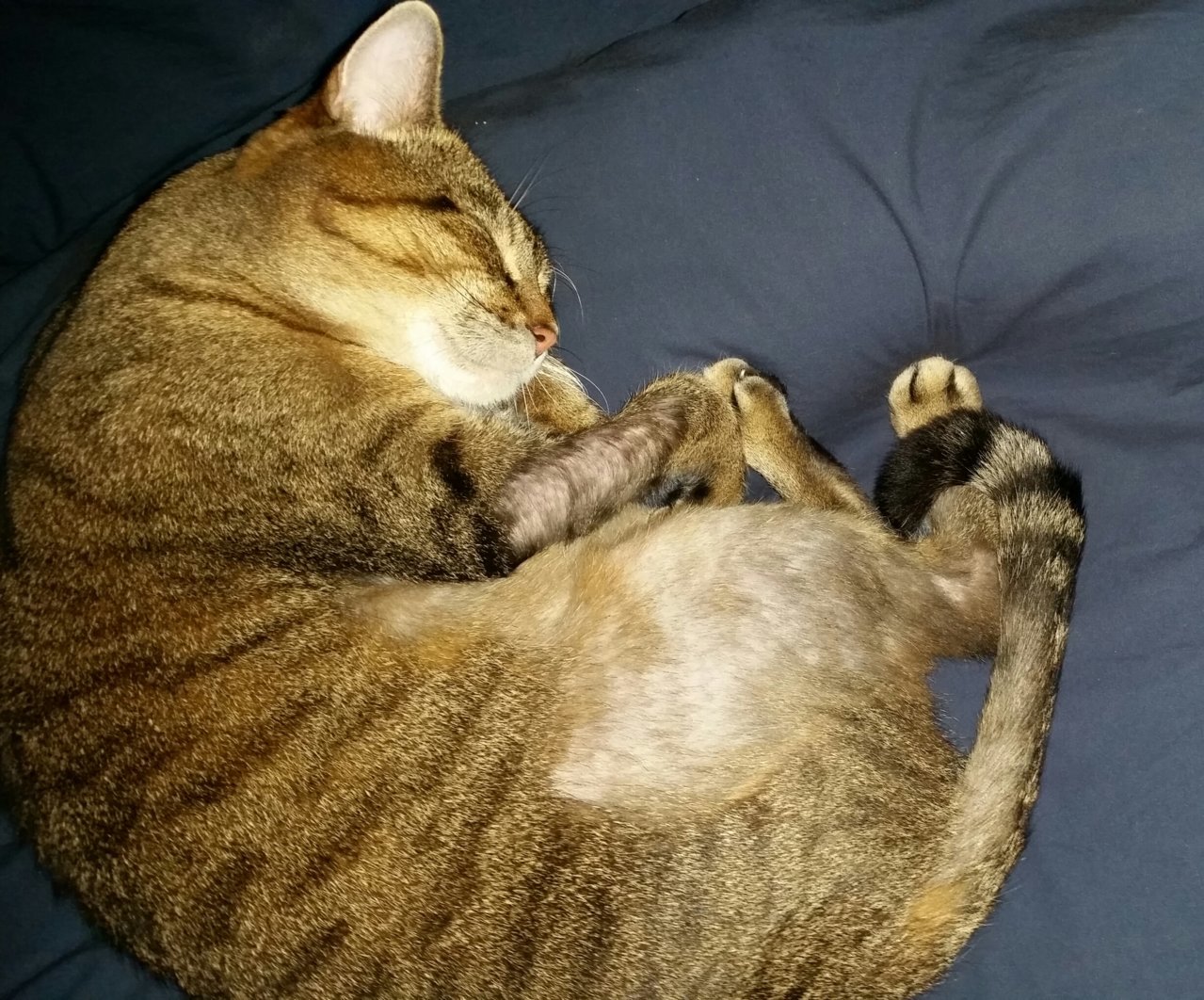 20190218_220257-1.jpg