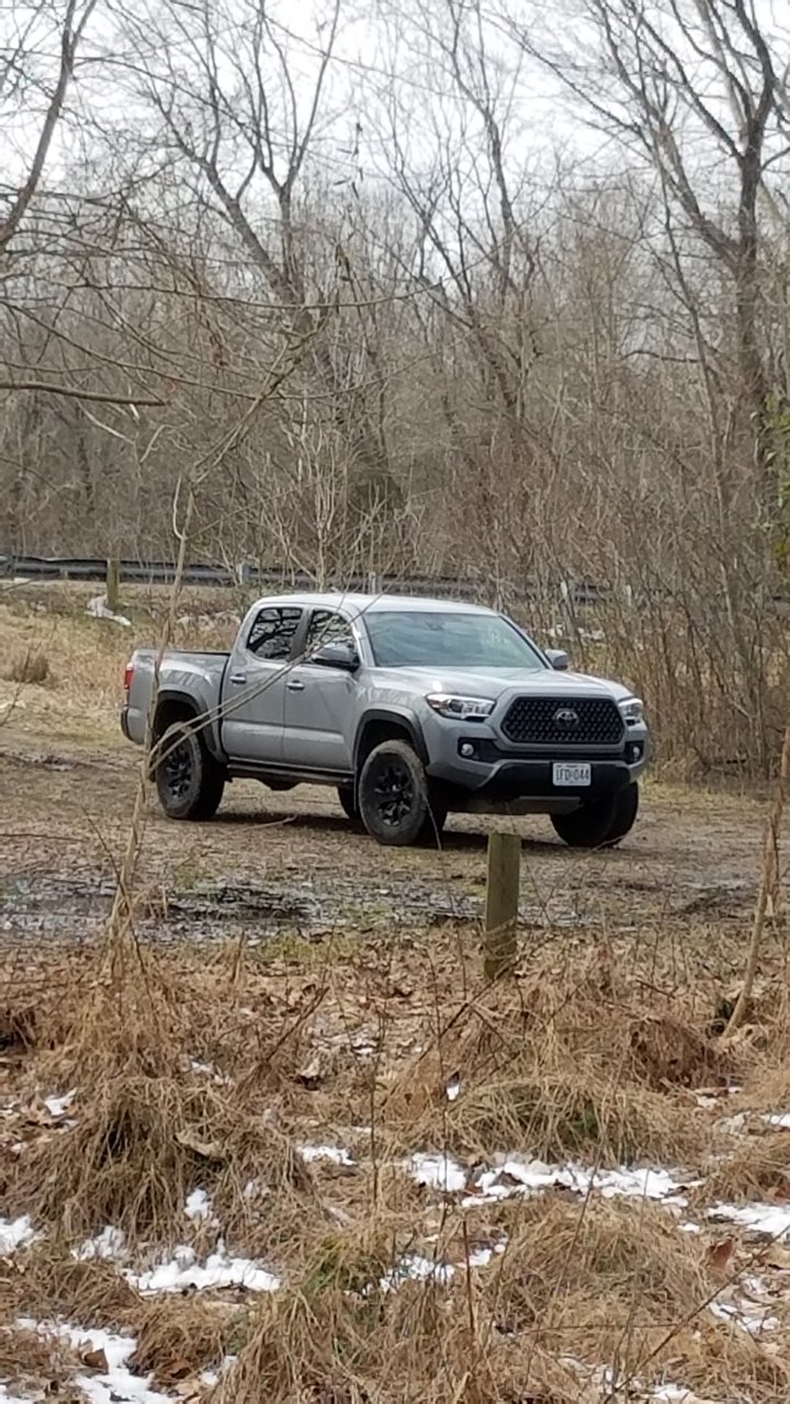 20190219_102851.jpg