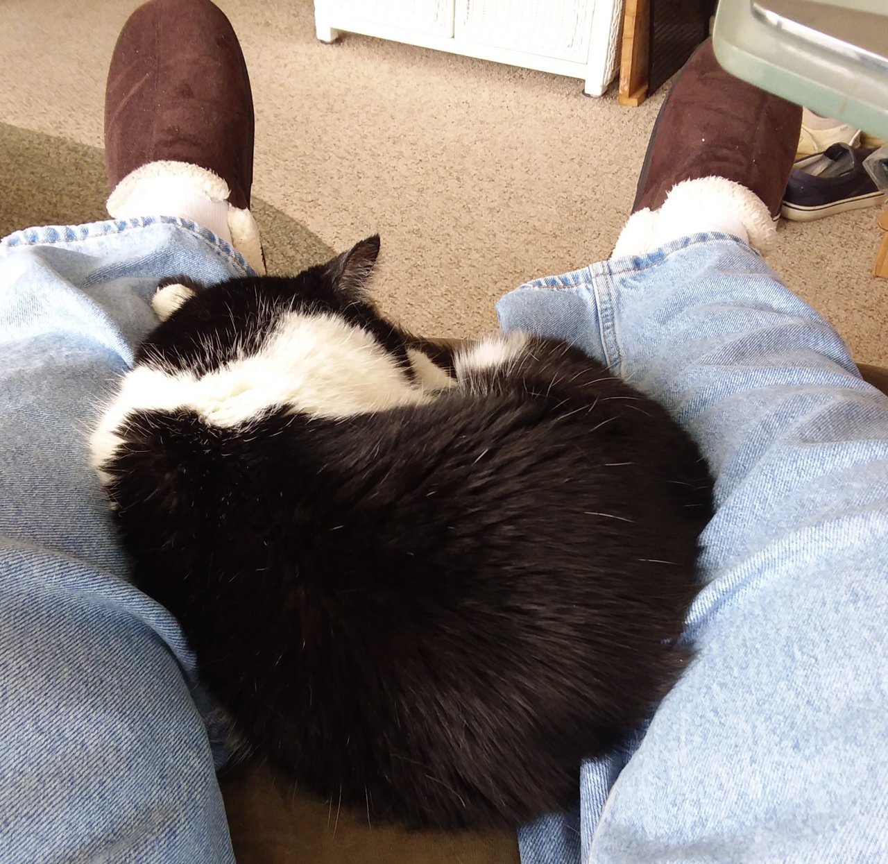 20190219_130301.jpg