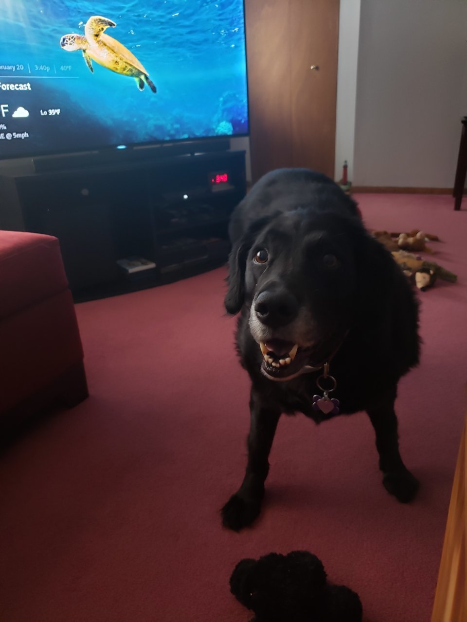 20190220_154106.jpg