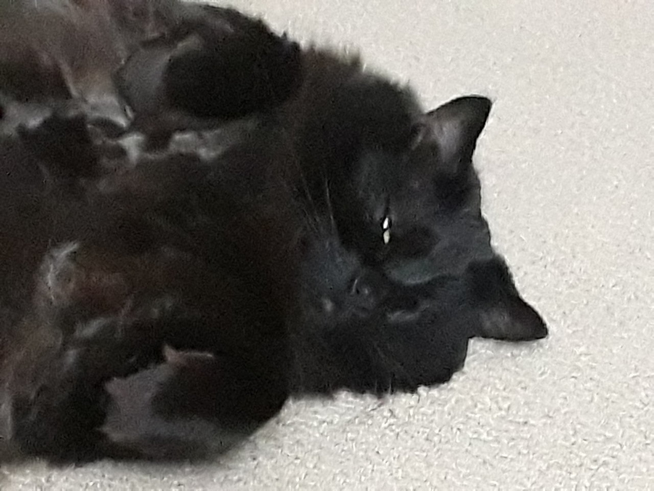 20190220_214151.jpg
