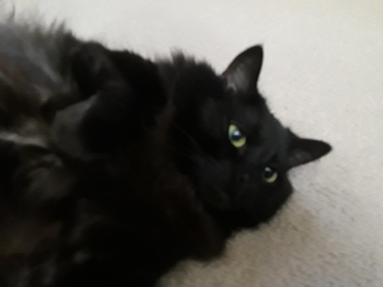 20190220_214322.jpg