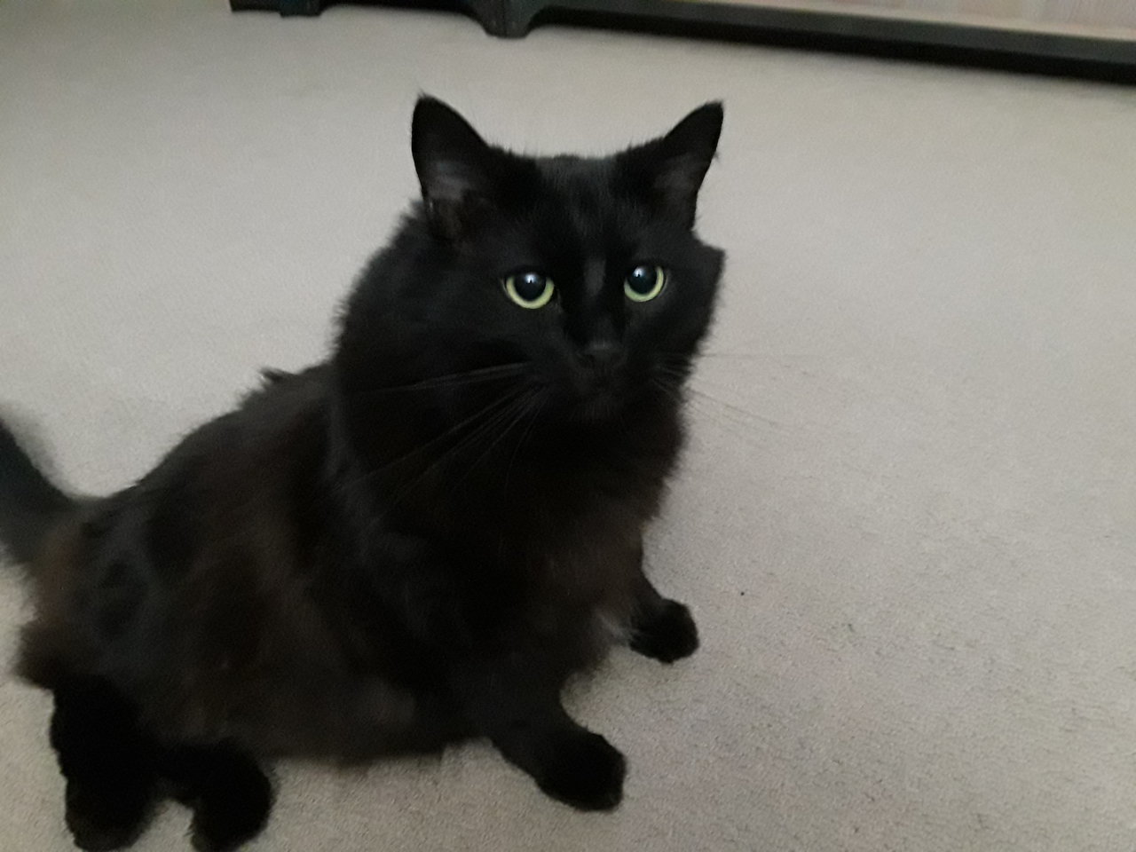 20190220_214443.jpg