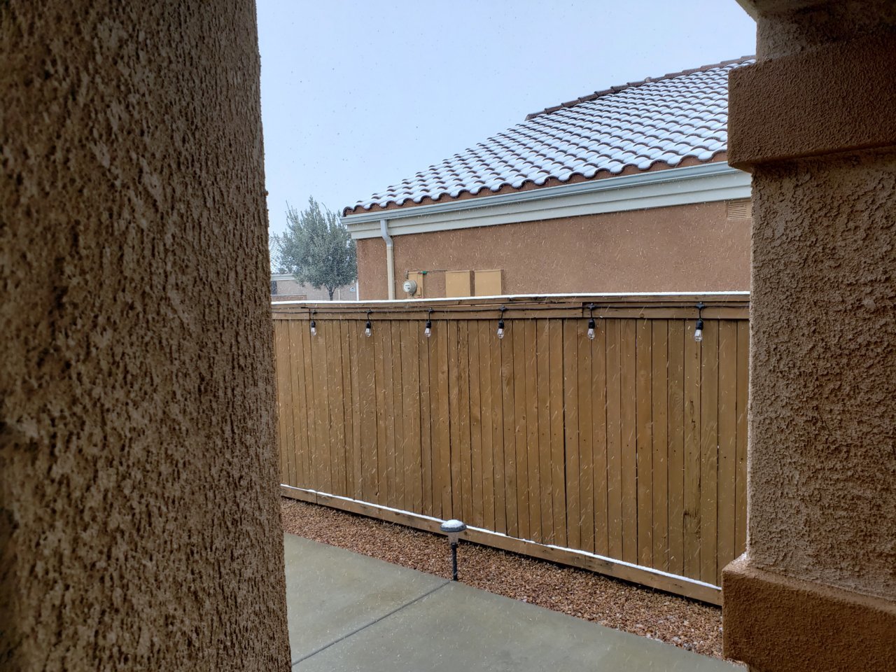 20190221_075658.jpg