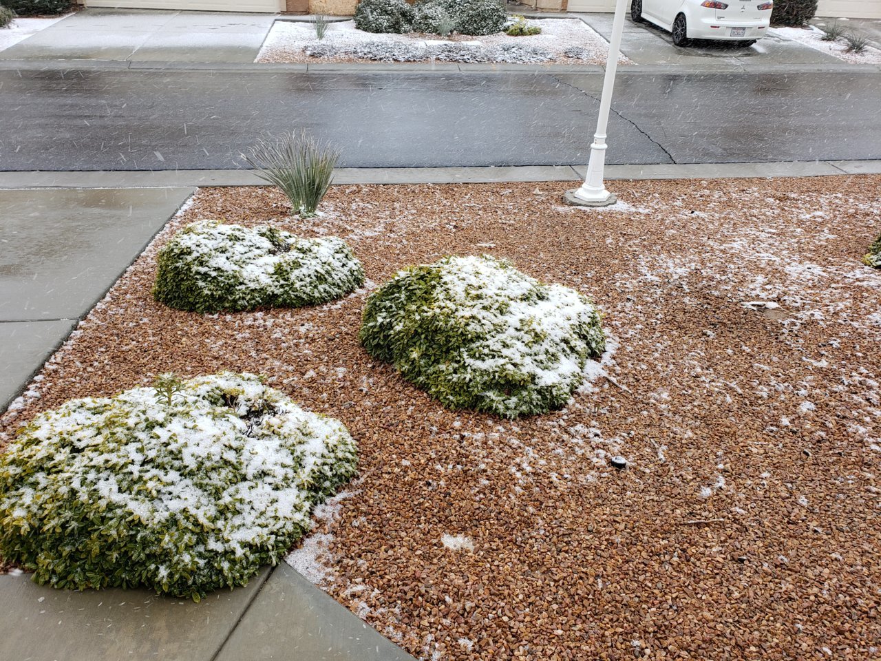 20190221_075759.jpg